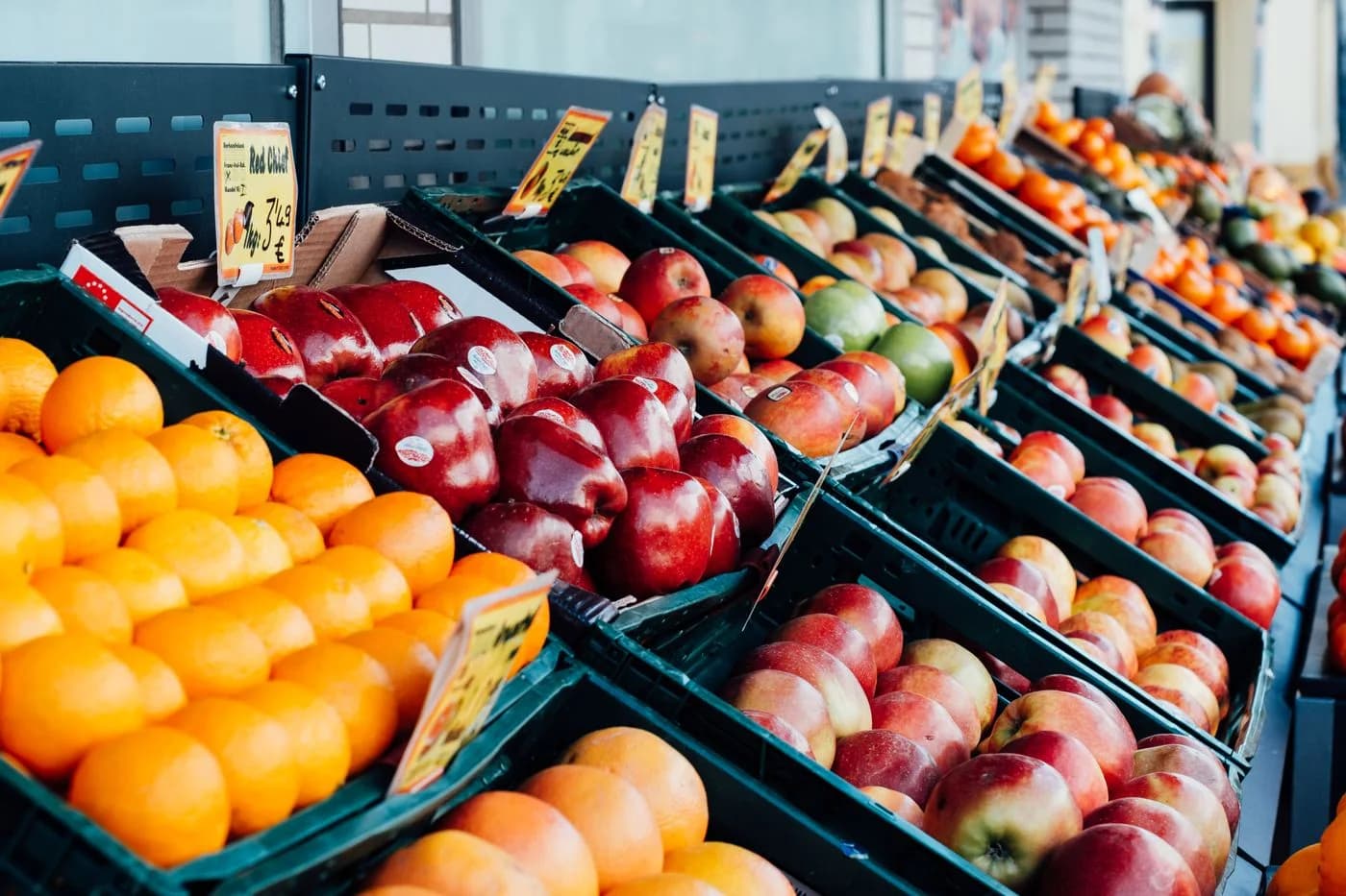 Fruit selection — Produce variety and presentation for seasonal discussions.