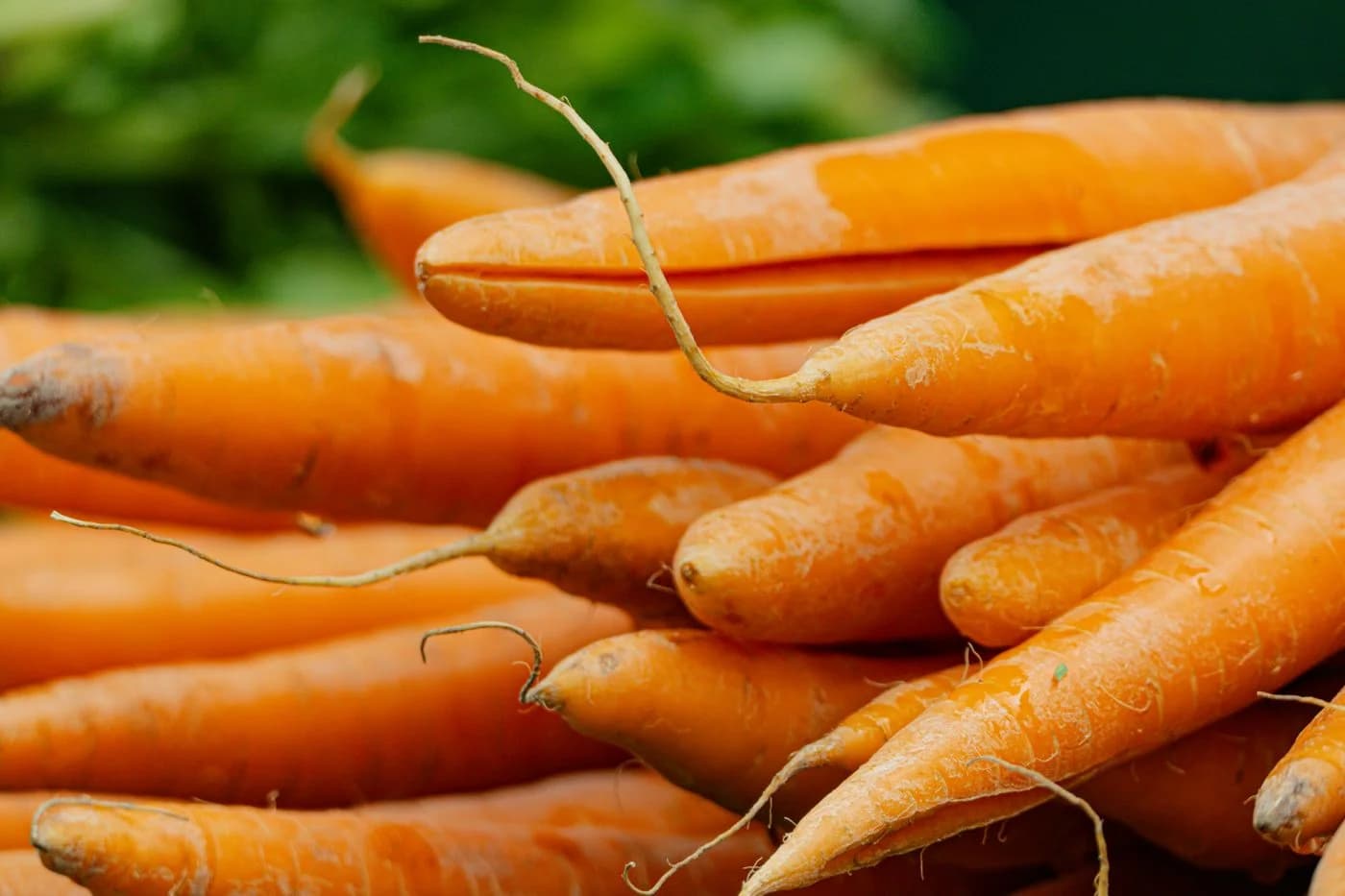 Harvested roots — Root vegetable form and handling requirements.