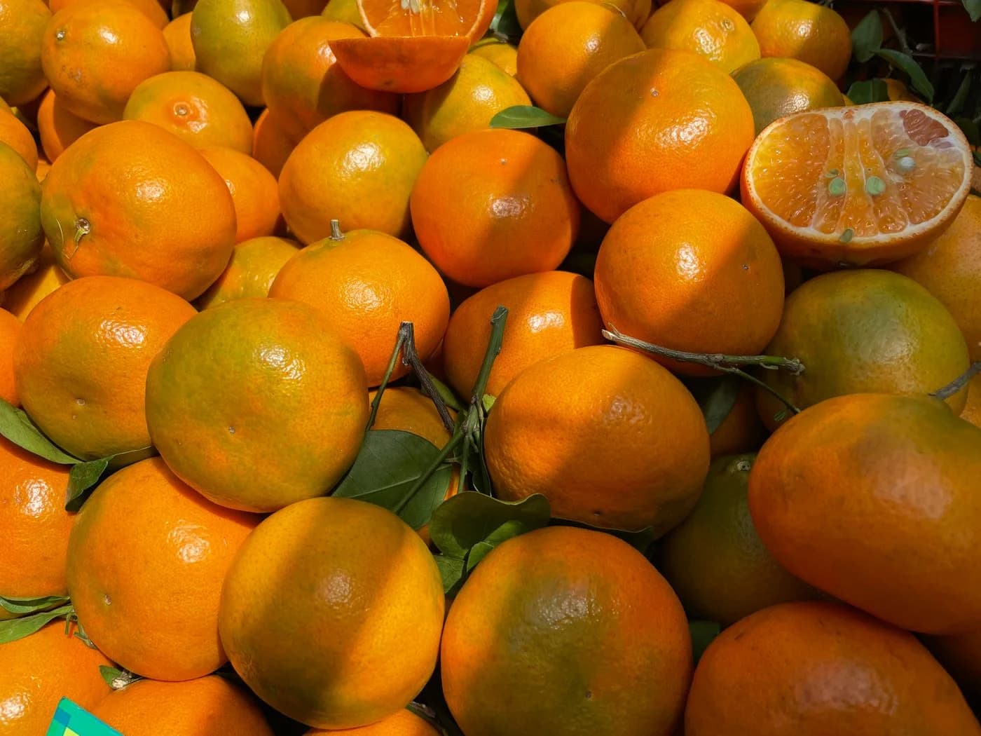 Citrus selection — Whole fruit, natural skin texture, and variety considerations.